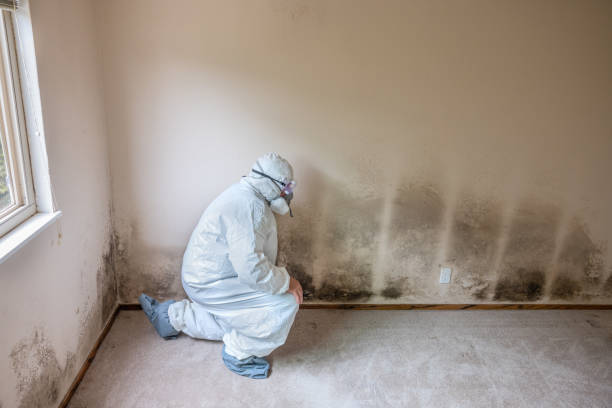 Mold Remediation for Rental Properties in Paris, MO